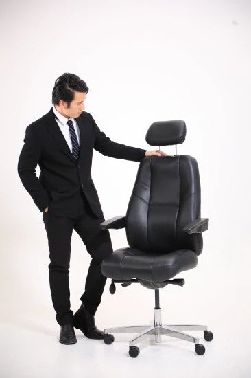 High Back Computer Manager Commercial Functional Mechanism Ergonomic Office Chair