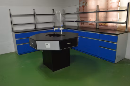 Custom Design School Chemistry and Physical Laboratory Desk for Lab Classroom (LT-05)